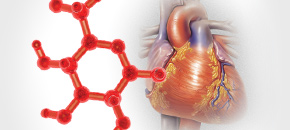 Red chains with human heart