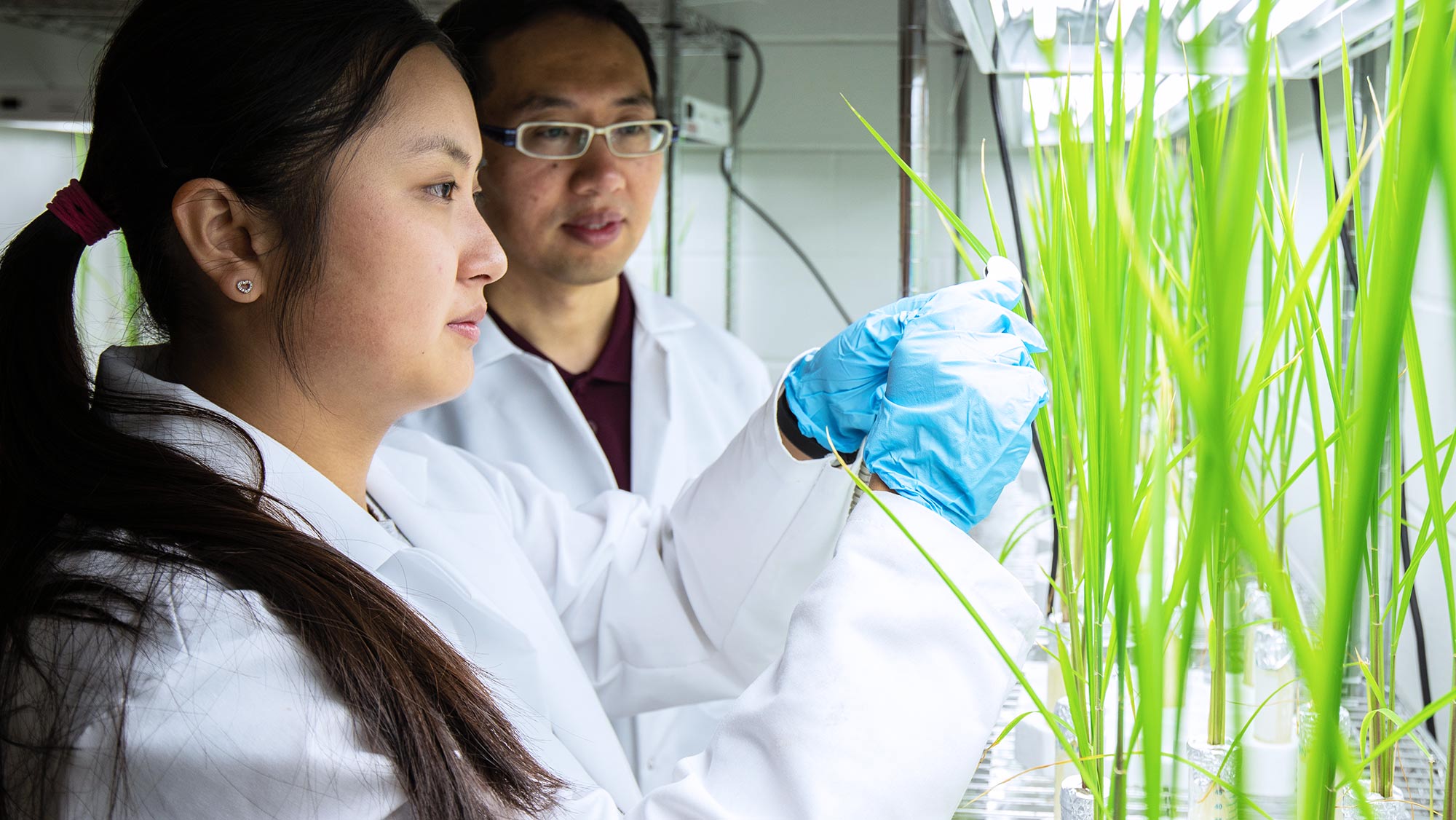 Students in lab