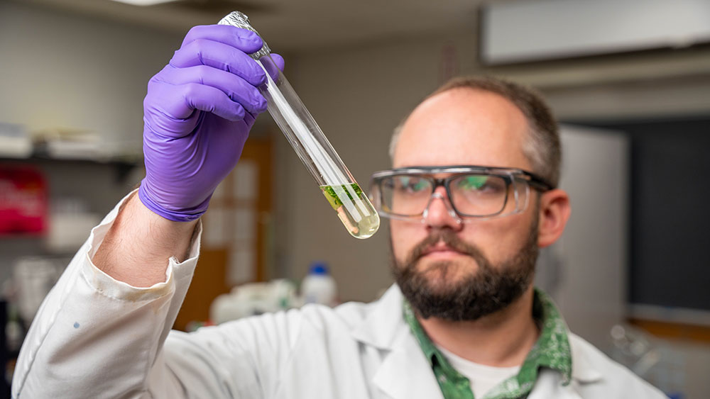 A man wearing a lab coat, gloves and glasses examines biological material in a test tube
