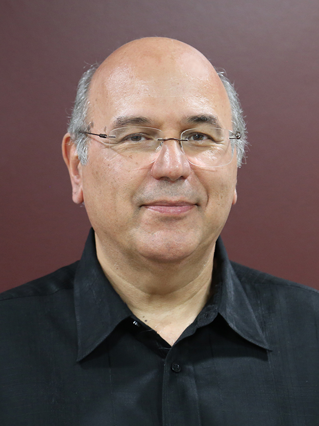Dimitris Lagoudas