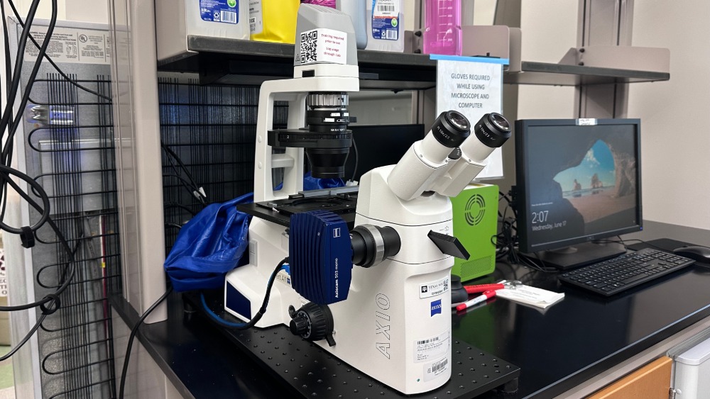 Zeiss Axio Vert.A1 Fluorescence Microscope