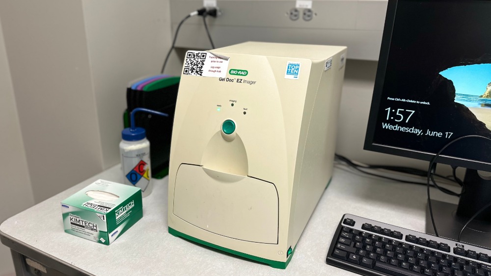 BIO-RAD Gel Doc EZ Imager