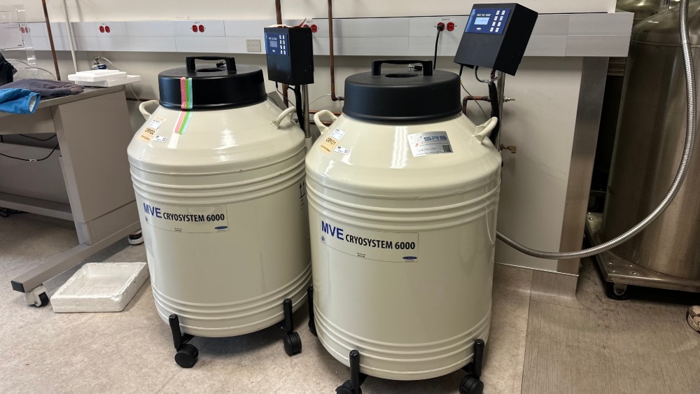 MVE Cryosystem 6000 Cryogenic Dewars