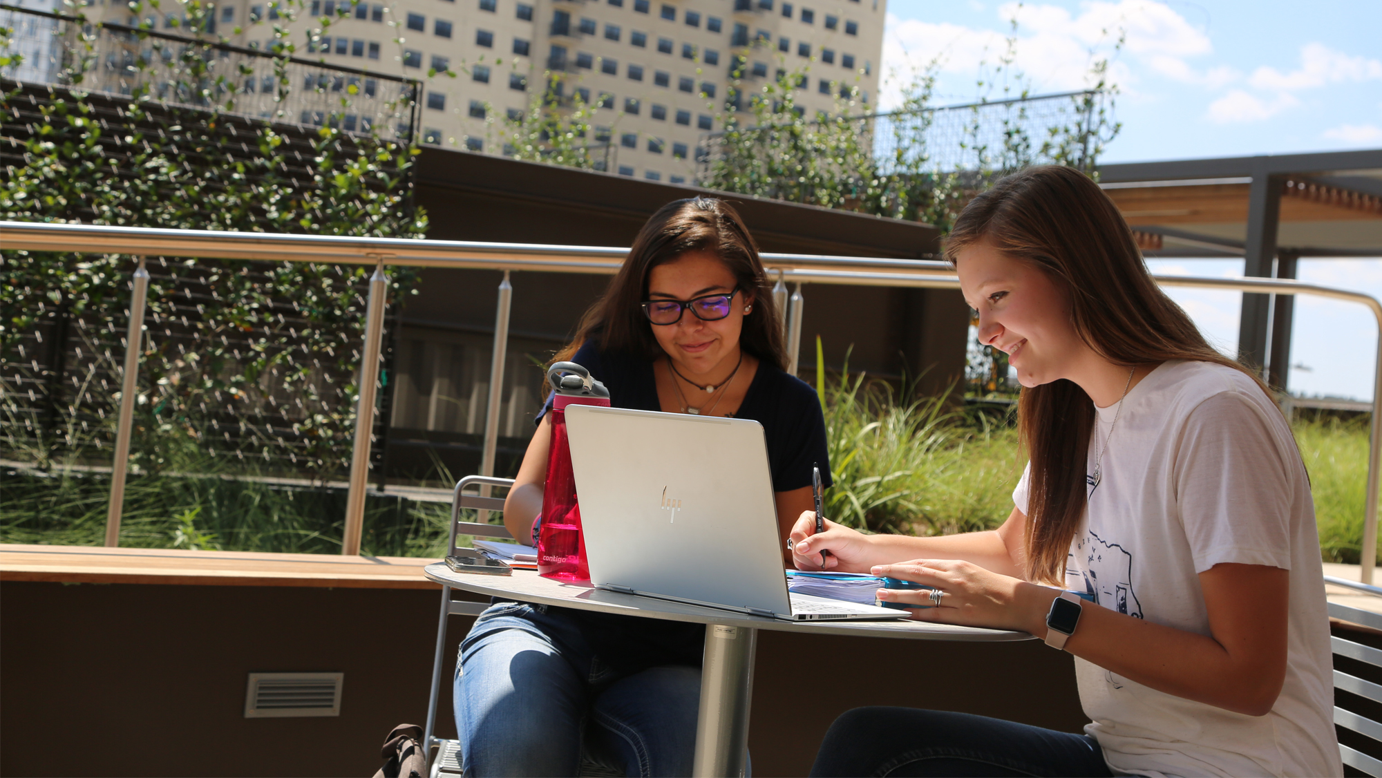 Students studying outdoors