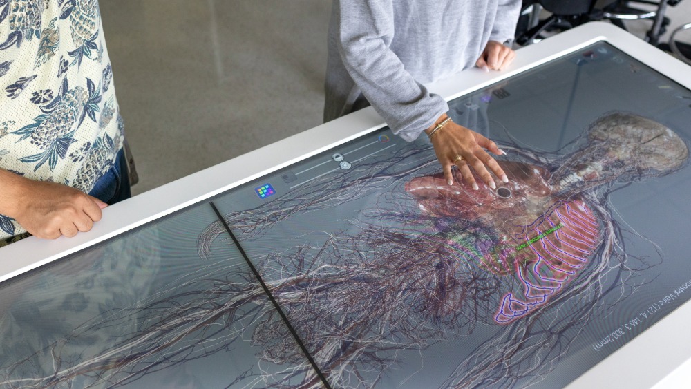 People reviewing a digital rendering of a human body