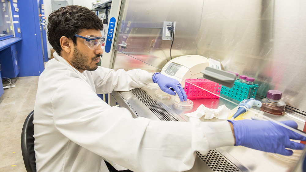 Student in lab 