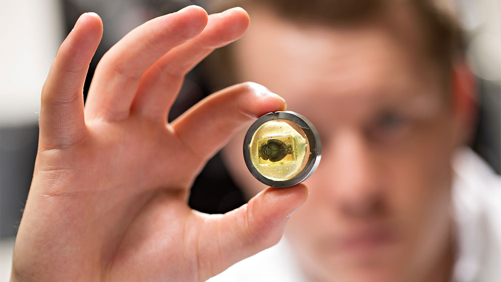 A close-up of a student's hand holding a metal circle with a yellow substance inside of it. 