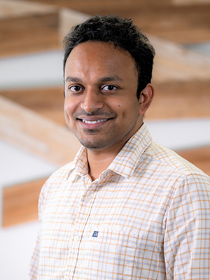 Sreejith Pillai