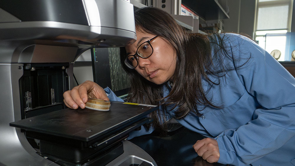 photo of a student using an instrument in a lab