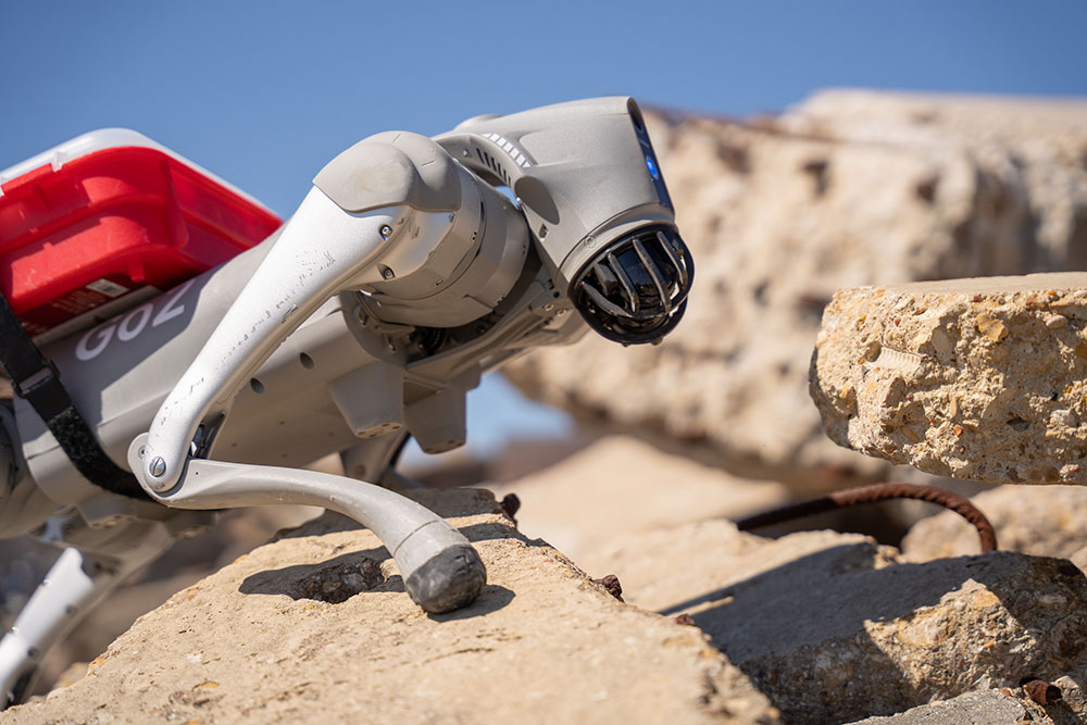A robotic dog stands on rocks.