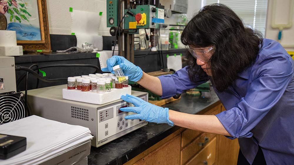 Dr. Hong Liang working in the lab