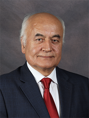 2026 photo of Dr. Ali Erdemir