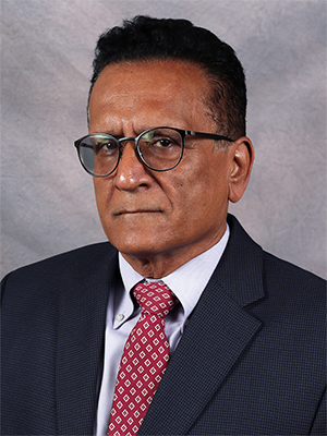 Reza Langari