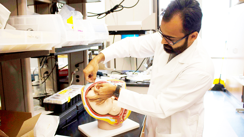 Student working on project in a laboratory 