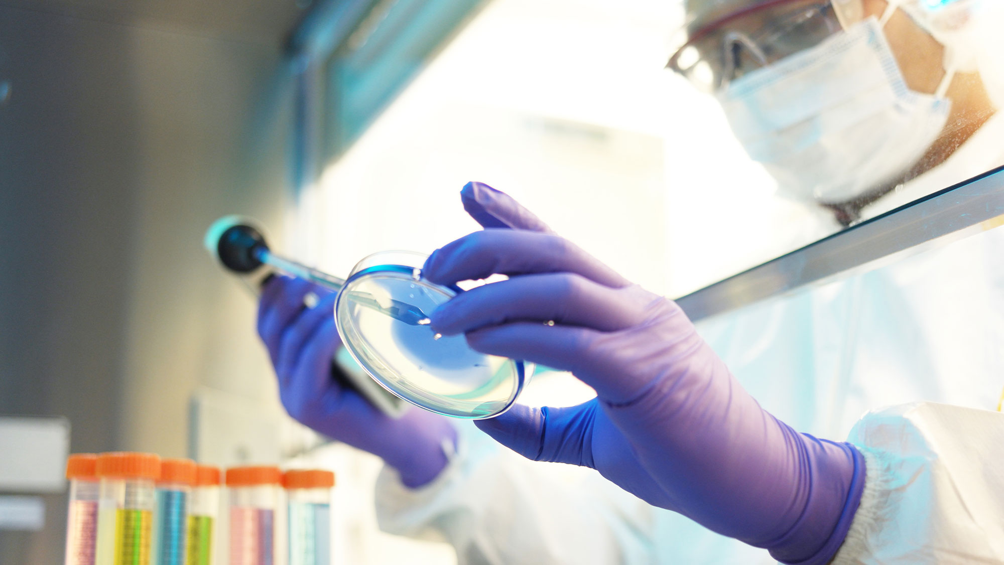 Researcher, wearing a face mask, goggles and gloves, examining a petri dish.