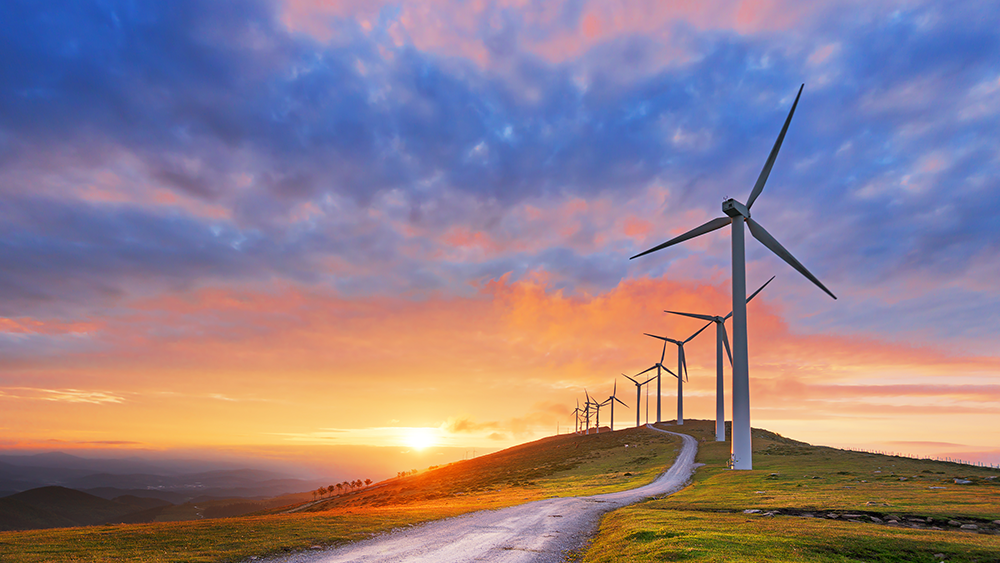 A row of wind turbines along a road