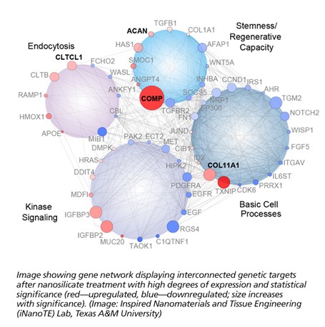 image of gene network