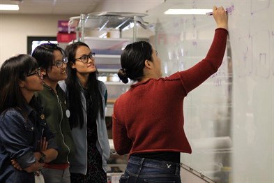 Students at chalkboard