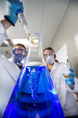 Researchers working in lab