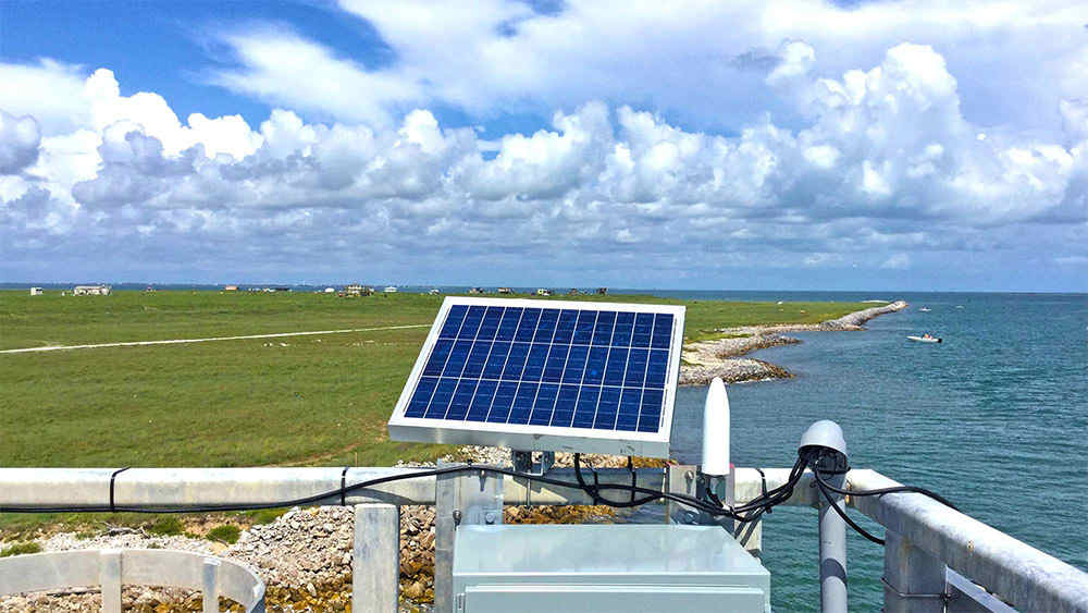 Monitors and testing devices appear in focus with the marshy environment in the background.