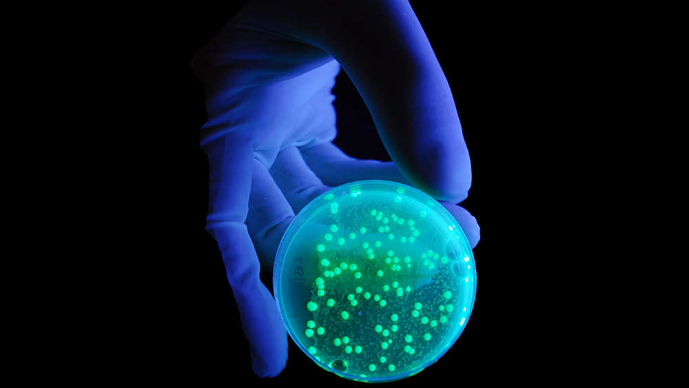 Scientist hand holding a fluorescent sphere