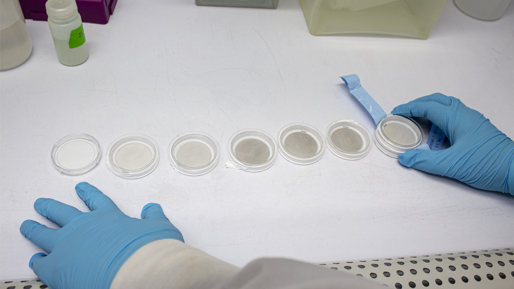 The dust samples collected. The far left is a clean sample and the far right shows the filter darker from dust particles. 