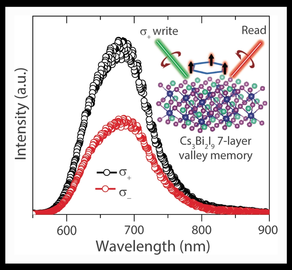 The polarized light emission from a seven-layer cesium, bismuth and iodine triangle developed at Rice University, under circularly polarized excitation, shows the valleytronics mechanism in action. The inset shows the electronic state written and read optically in a valleytronic memory. (Credit: Lou Group/Rice University)