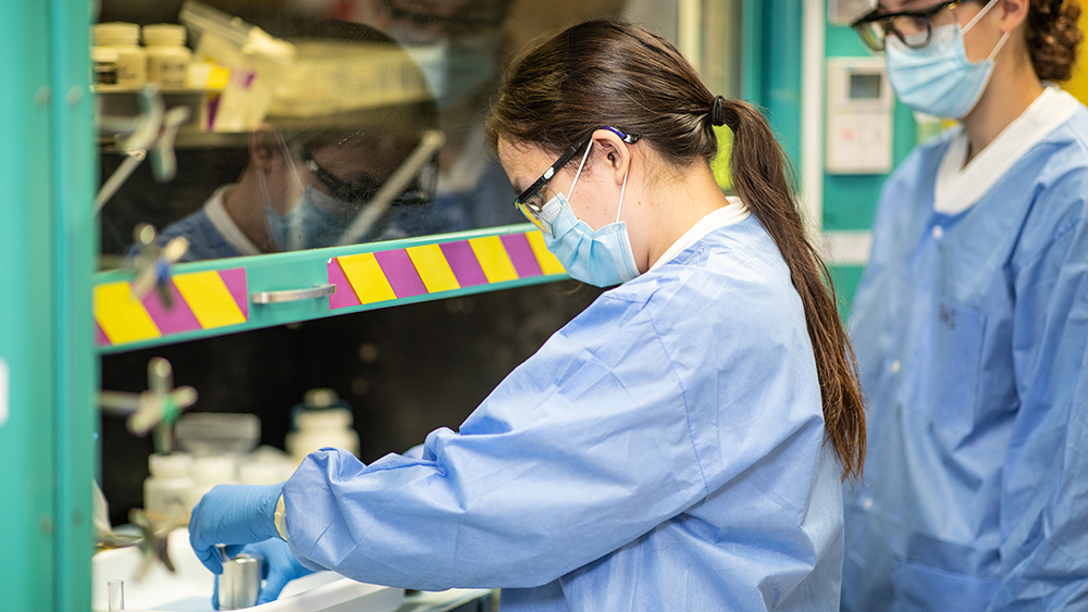 Students in a lab working on ANEEL pellets.