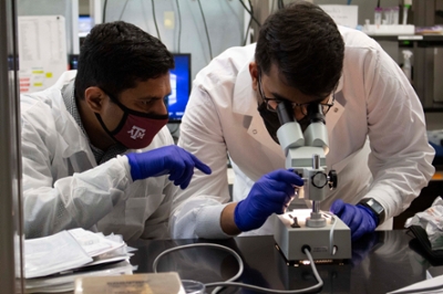 Two researchers gather around a microscope. Both are wearing personal protective equipment.