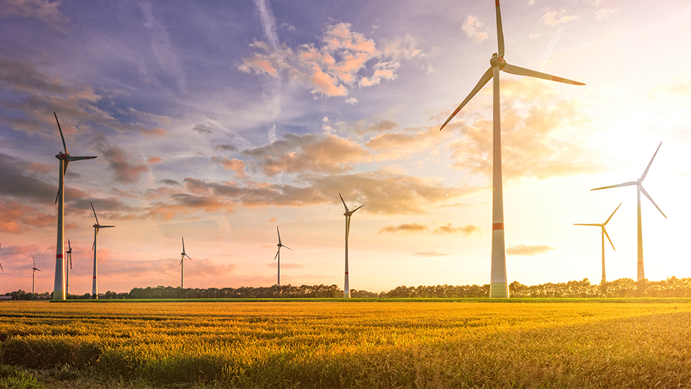 Wind farms with wind turbines