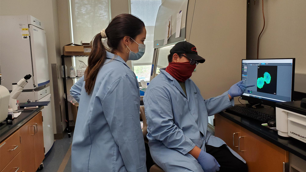 Two students discuss cell photo in lab