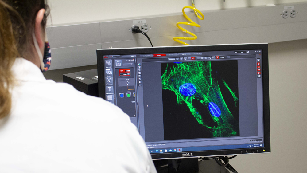 Female student looks at microscope display of cell