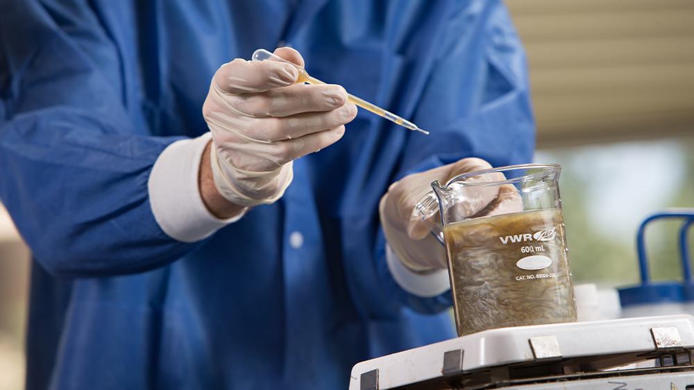 Student uses pipette to drop solution into a full beaker  