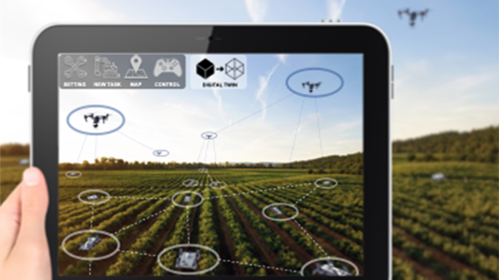 Graphic representation of swarm robotics in agriculture