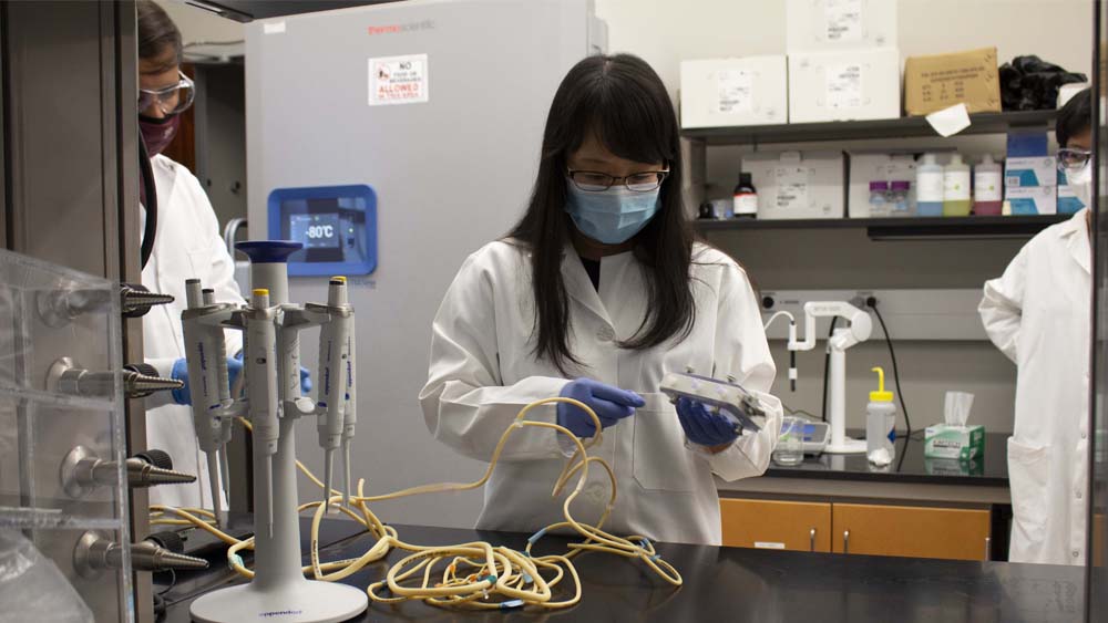 A female professor demonstrates how to connect a small clear box with a cable for a group of students.