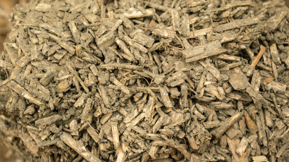 Close up of hemp wood shavings