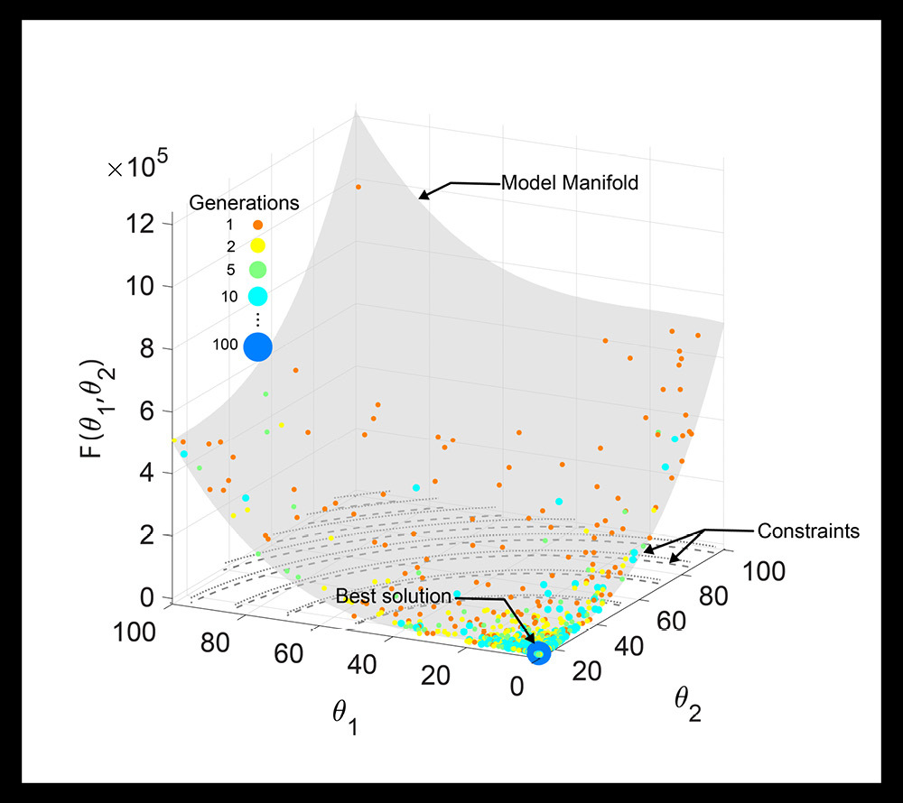 Illustration of the working of ISRES+: The algorithm creates a random population of individuals which are scored and ranked to select the fittest individuals.  