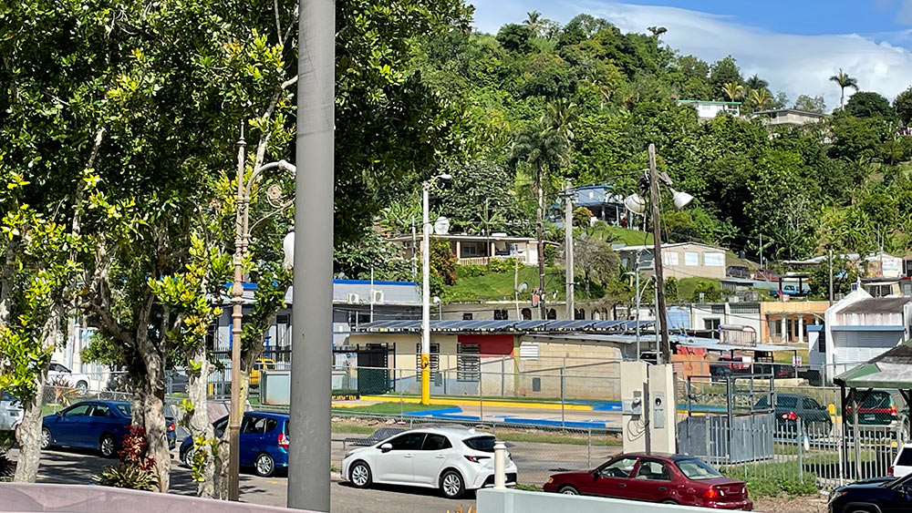 Cars on the street with buildings and trees in the background in Castañer.