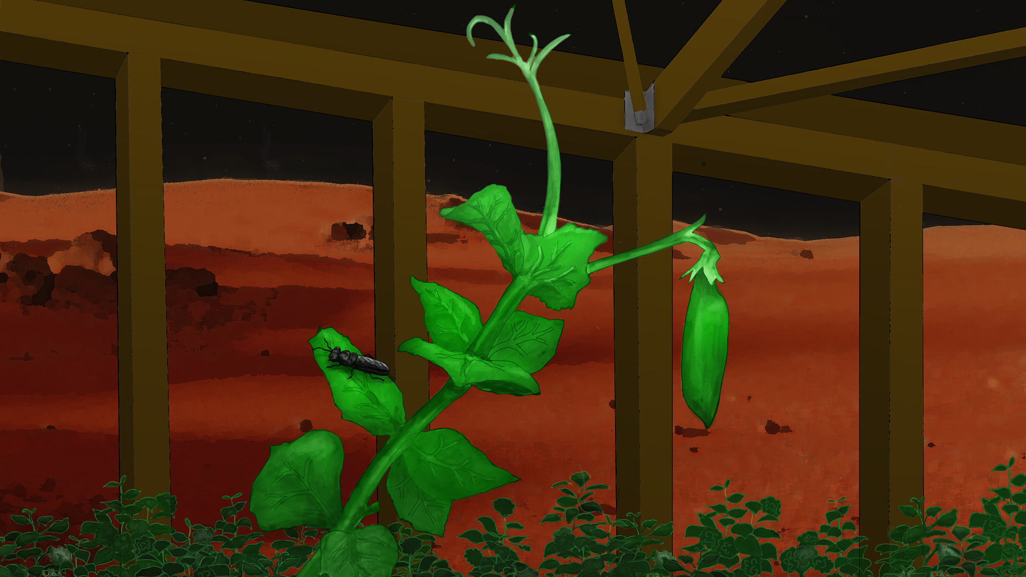 An illustration of a pea plant in a greenhouse on mars.