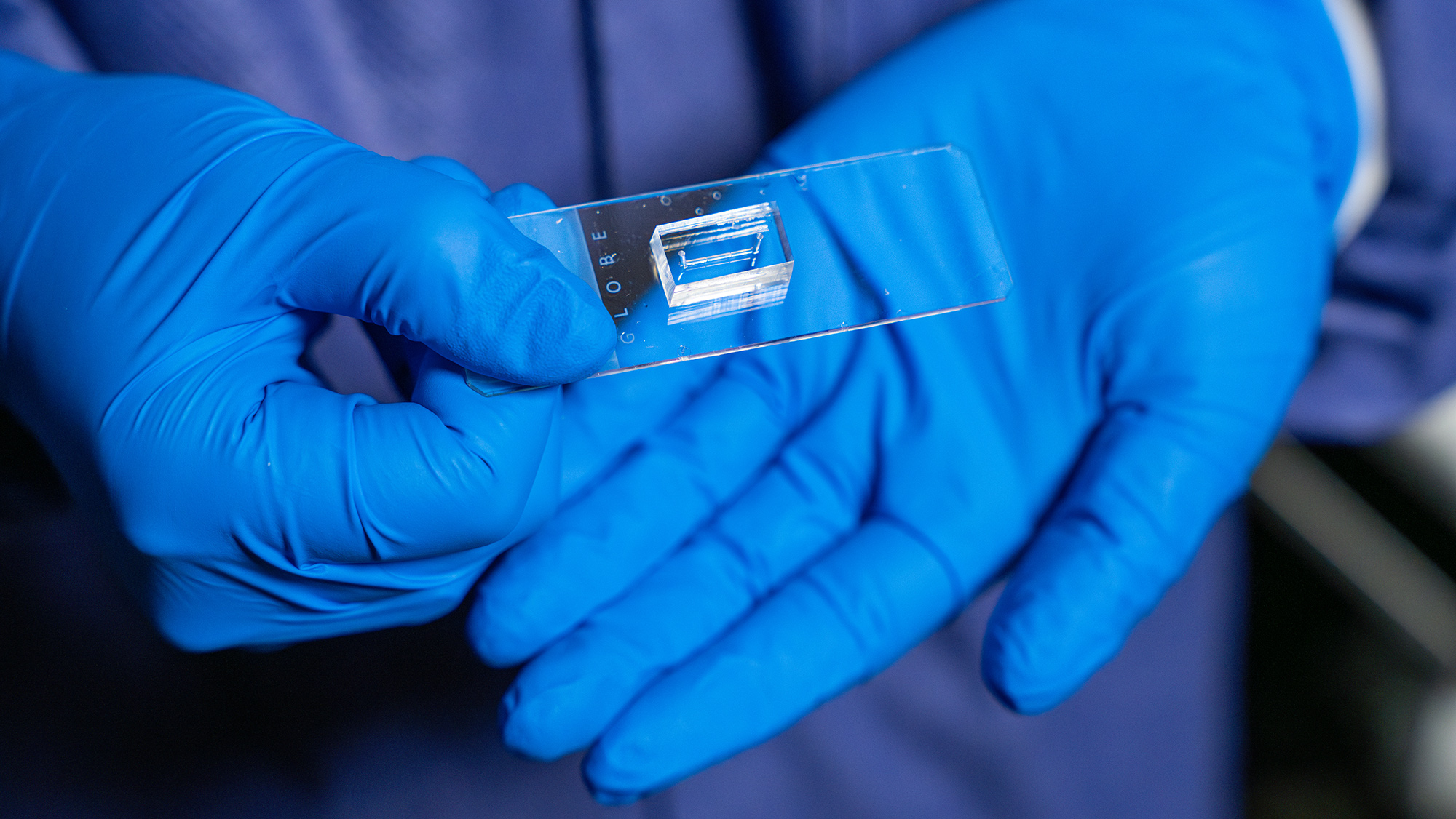A transparent chip with a small line in the middle.