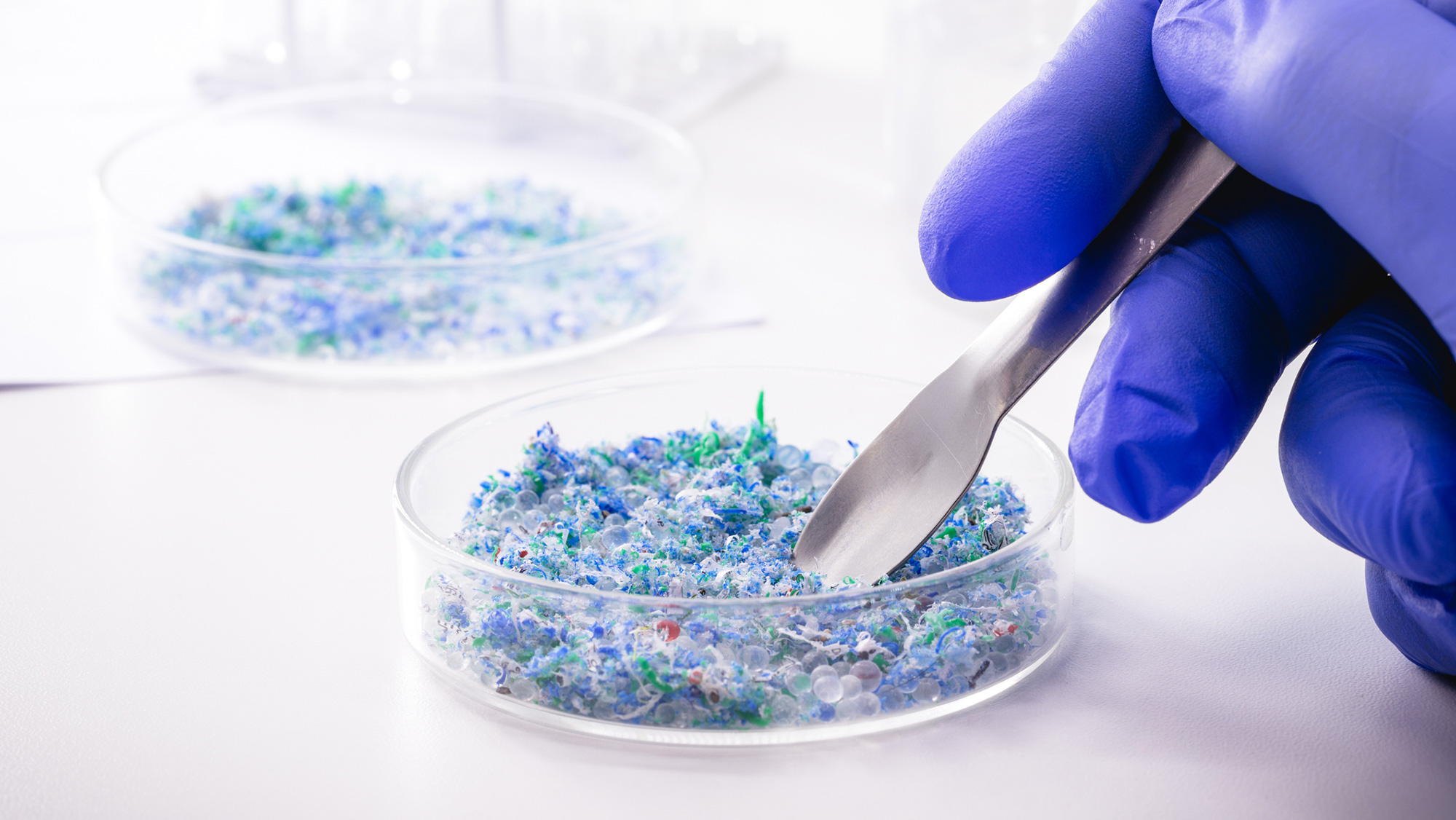 A person holding a tool in a petri dish of polymers.