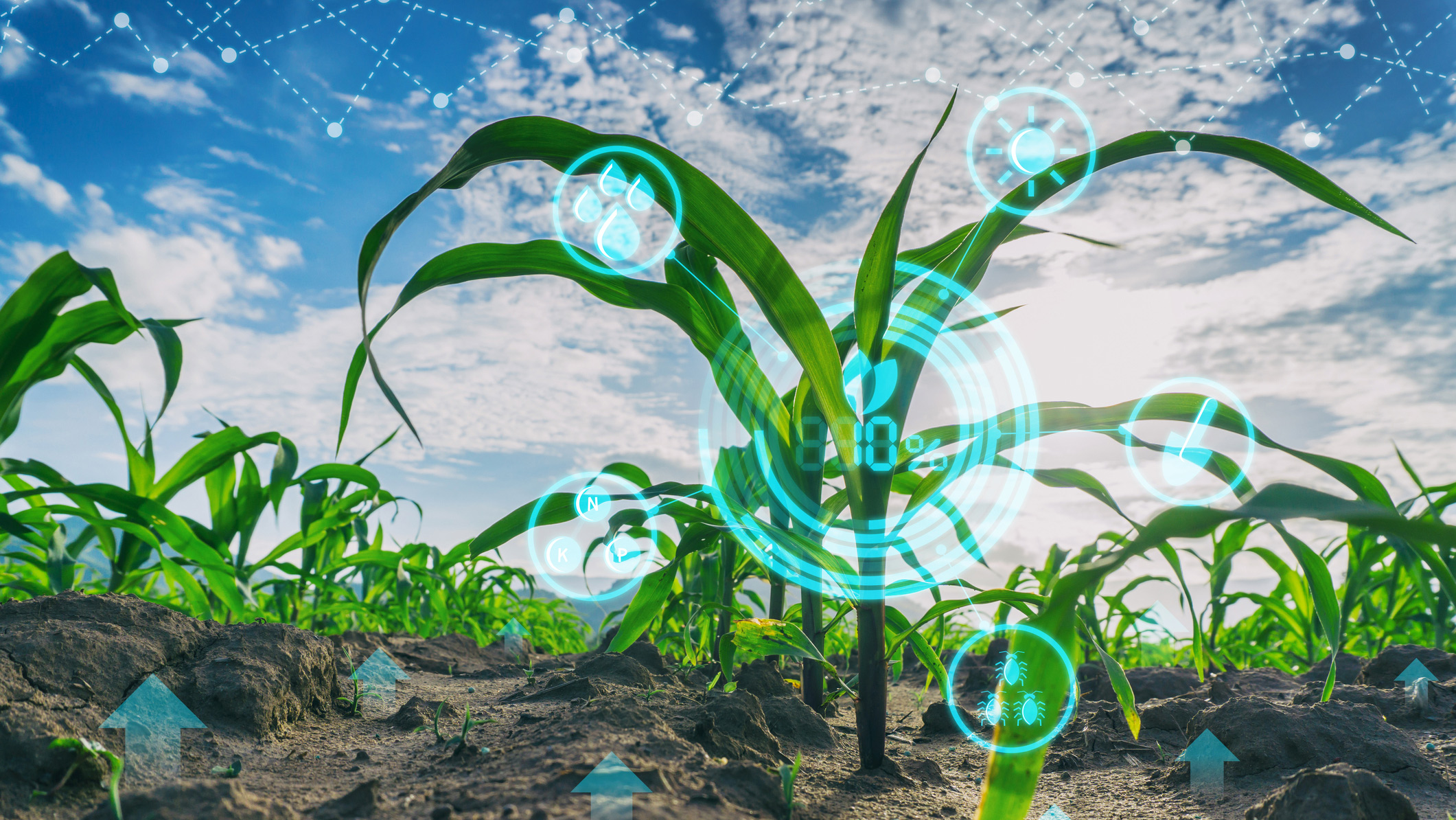 A graphic of a plant with digital overlays on top of the image.