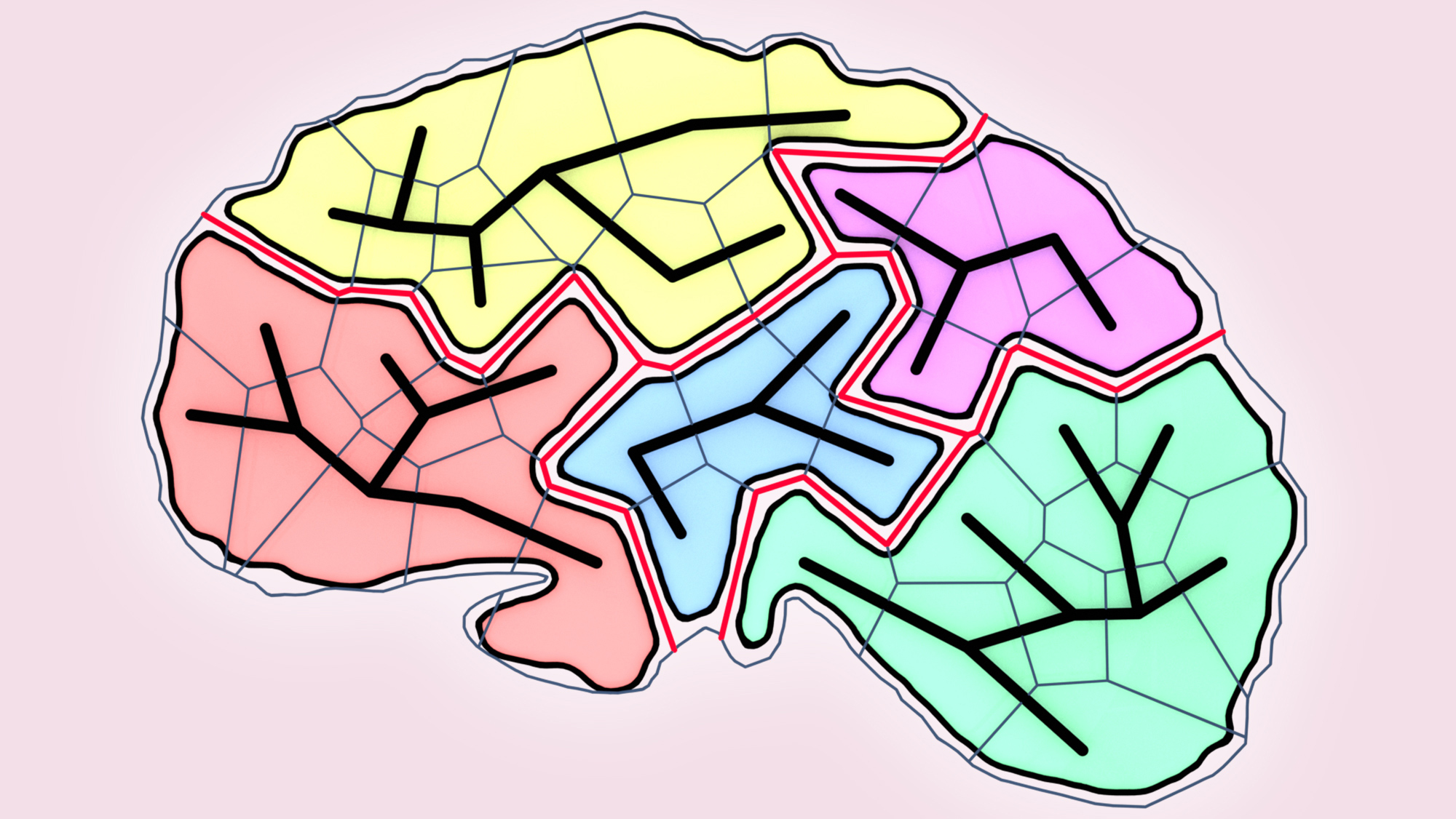 An illustration of a geometric brain.