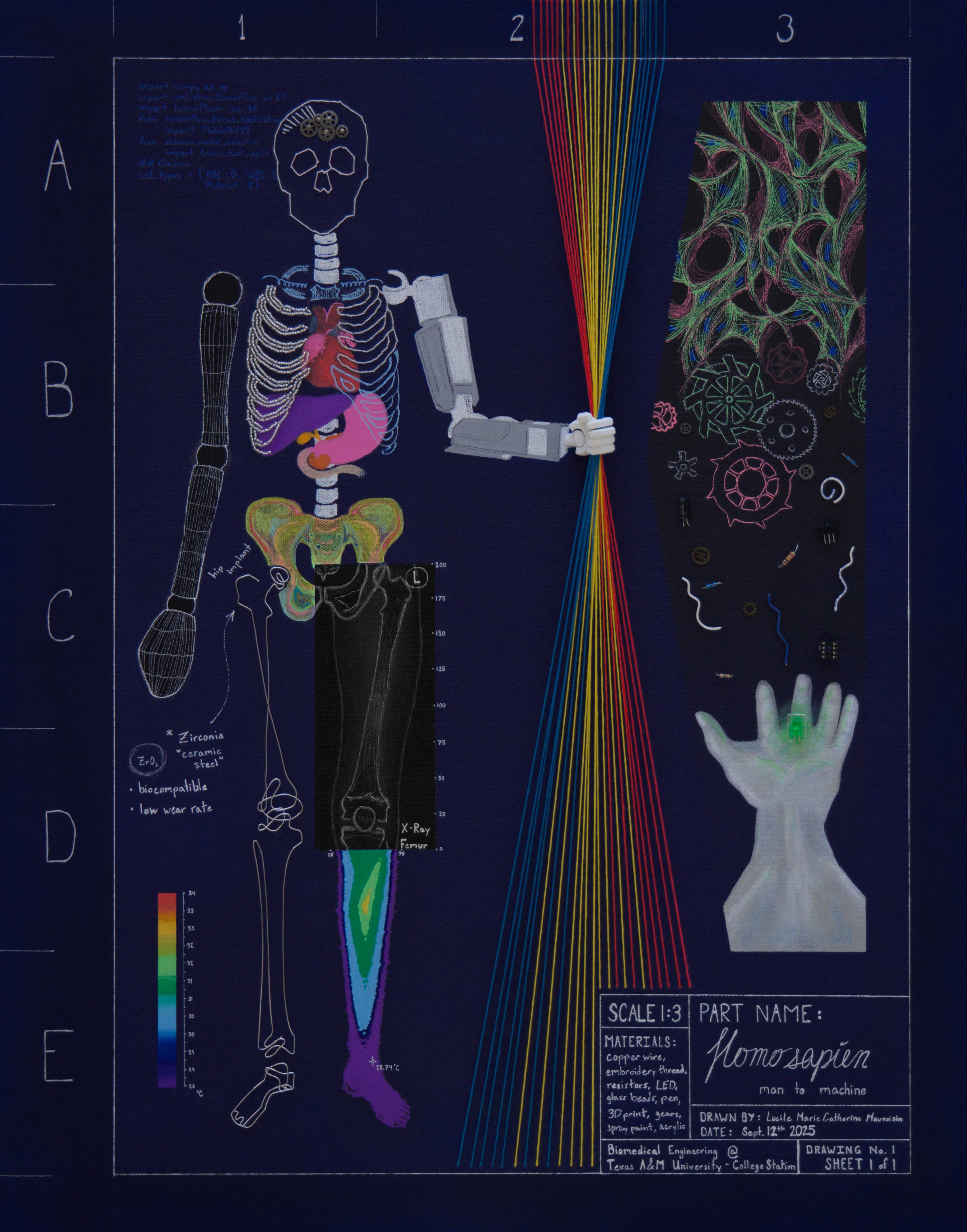 An illustration of a figure of the human body showcasing different biomedical engineering areas. 