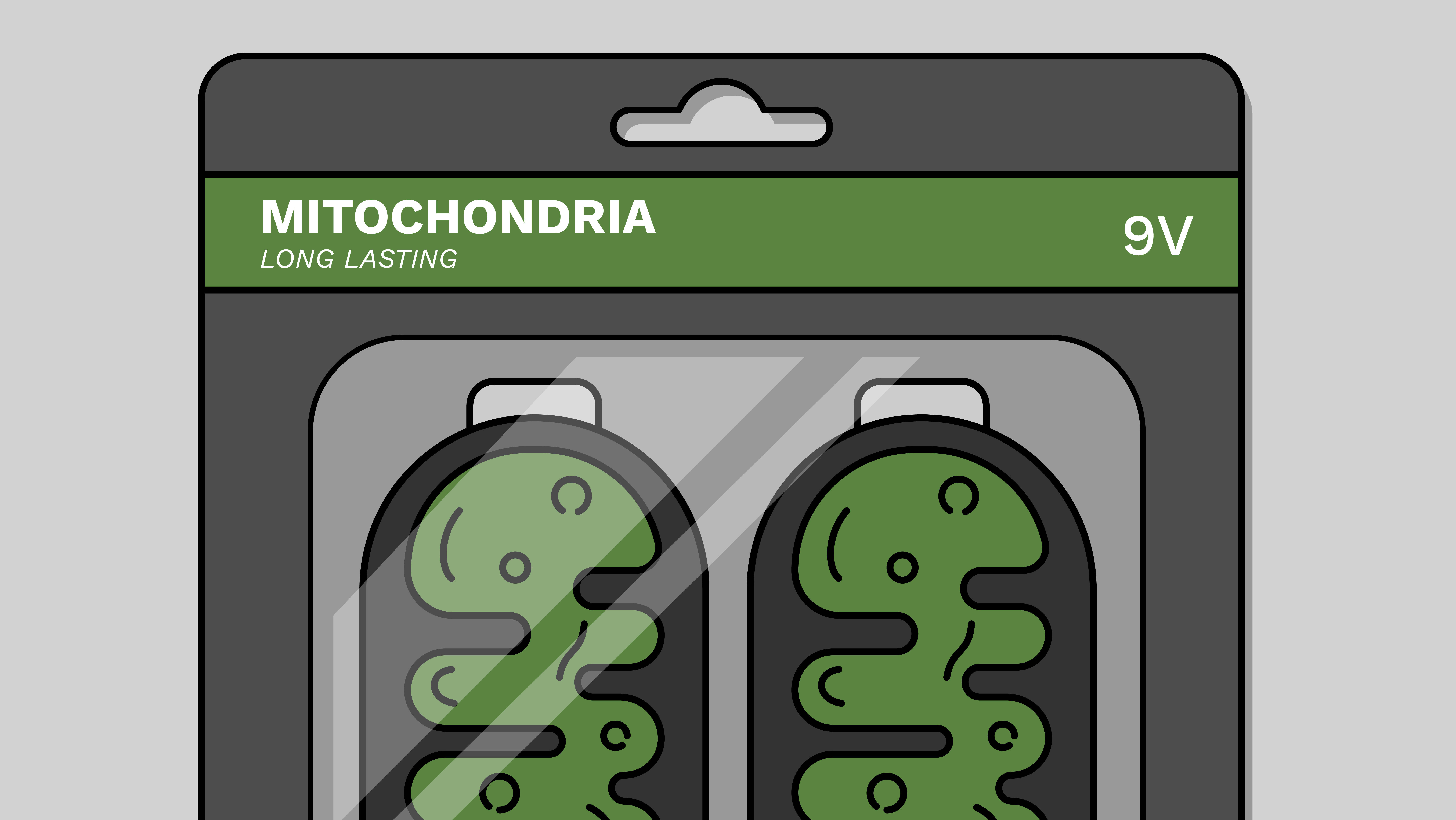 A graphic depicting two mitochondria as batteries in packaging that reads Mitochondria Long Lasting 9V.