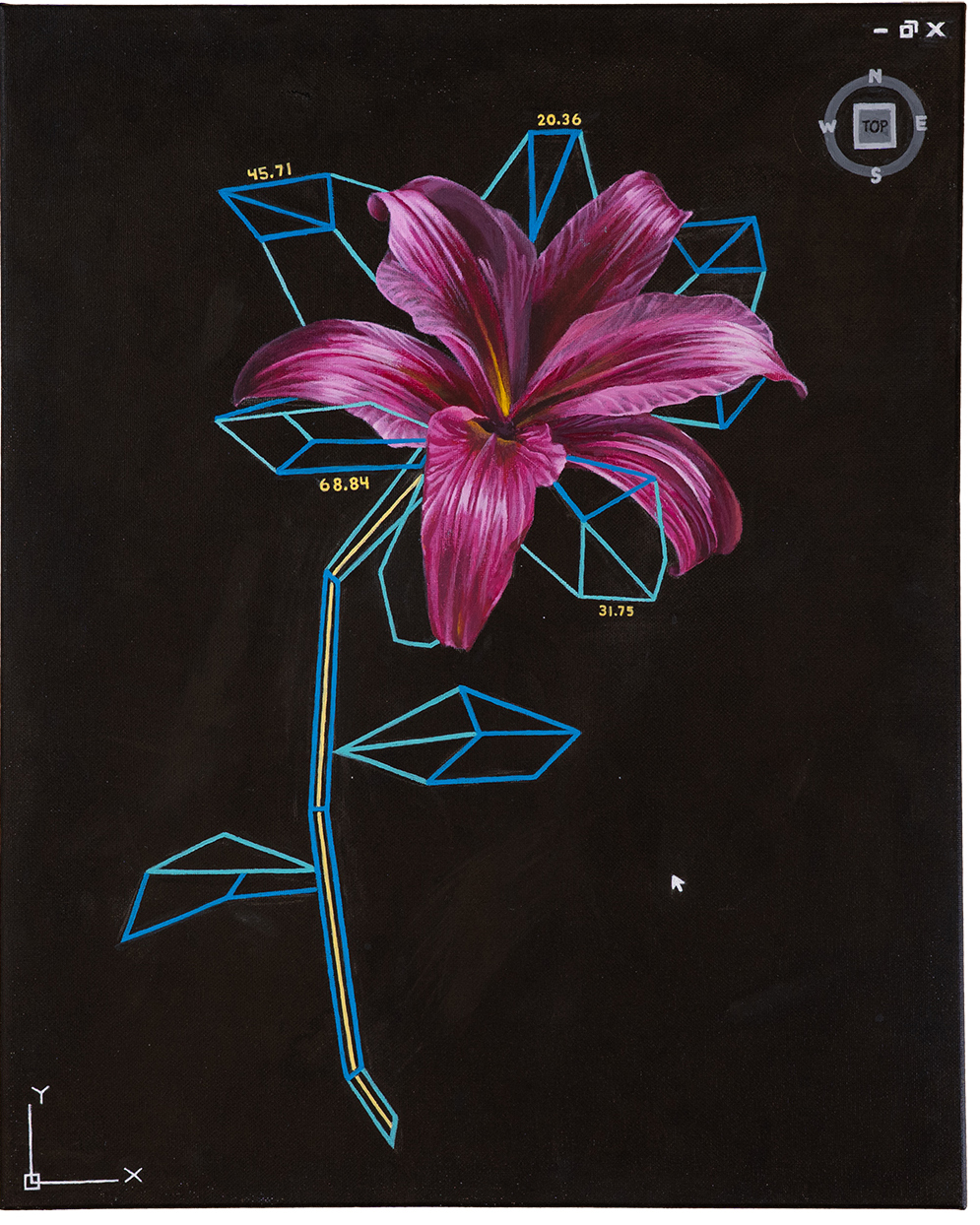 Painting of a flower outlined with geometric elements and measurements.