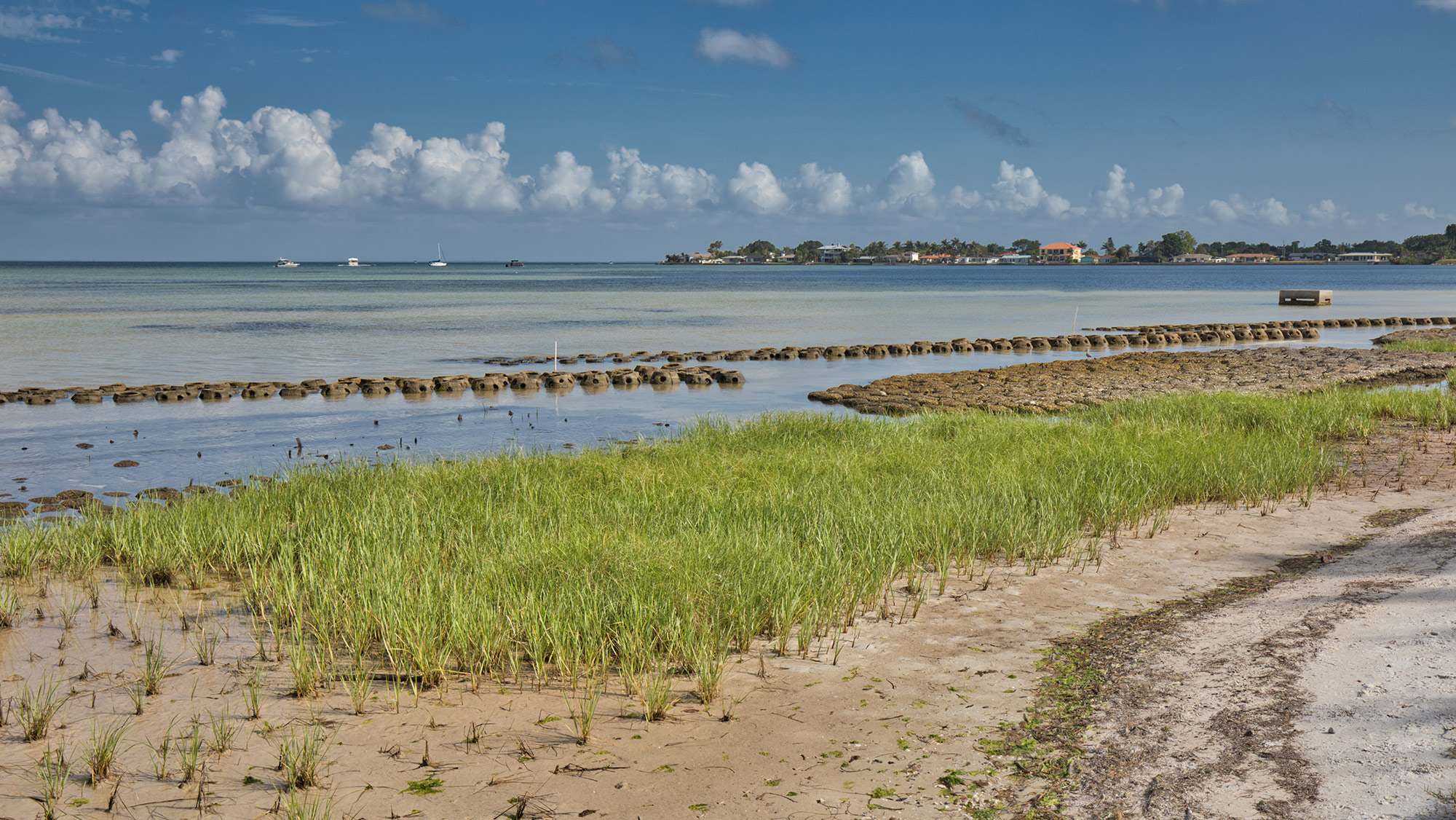 Low-tide Gulf Coast marsh with green cordgrass and a line of offshore breakwater structures beneath a blue sky.