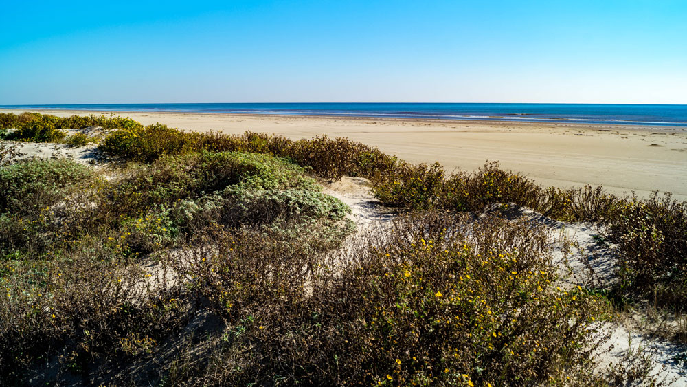 An eroding coastline