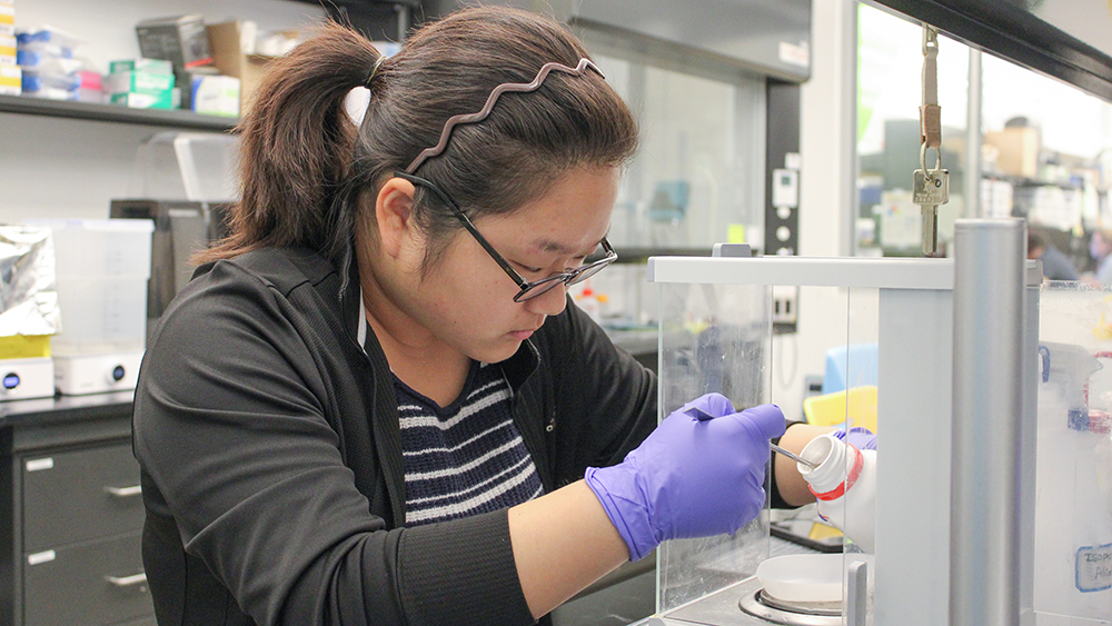 A female high school student wearing glasses works in a lab, transferring content in a bottle to a measuring plate behind a plastic shield. 